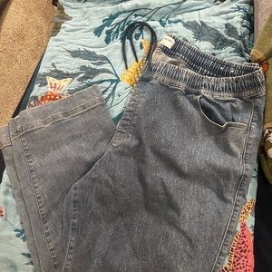 Lane Bryant Denim Pants